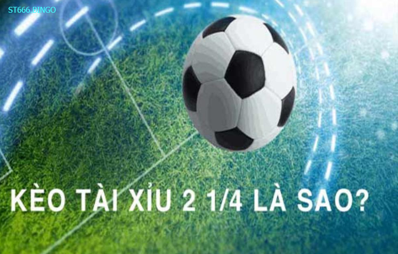 Tài xỉu 2 1/4 - Loại kèo được yêu thích nhất trong cộng đồng cá độ