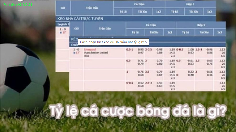 Cách nhận biết kèo dụ  là Nắm bắt tỷ lệ kèo