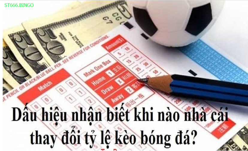 Theo dõi biến động kèo