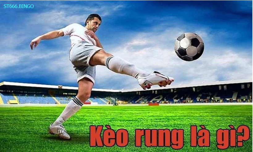ST666 Thế nào là kèo rung?