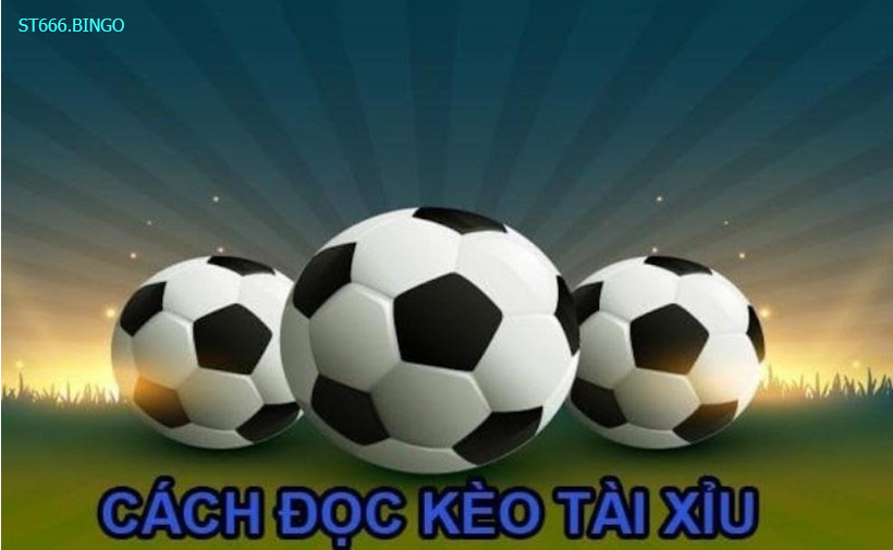 Hướng dẫn cách cá độ bóng đá tài xỉu trong cá độ bóng đá