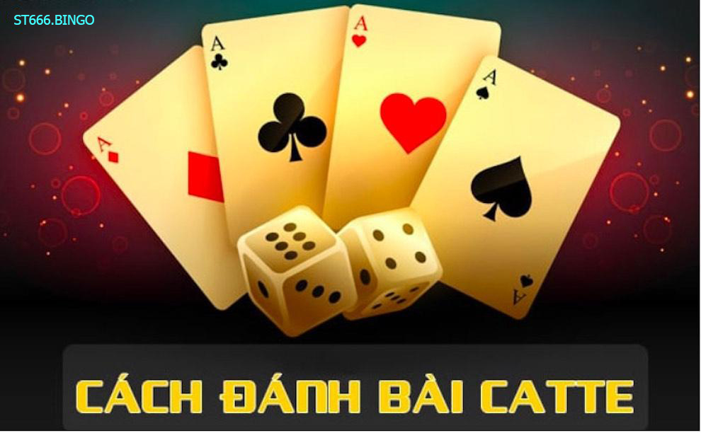 Hướng dẫn cách chơi bài Catte