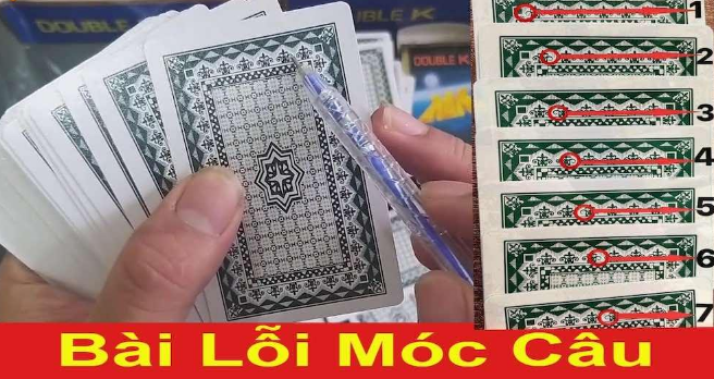 ST666 Nhận biết bài thửa