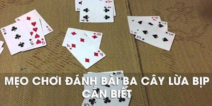 ST666 Cách chơi 3 cây bịp đơn giản giúp nâng cao hiệu suất chiến thắng
