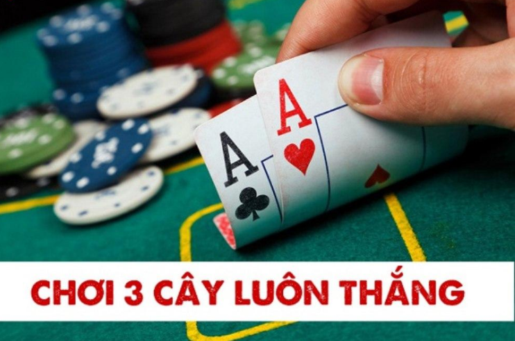 ST666 Cách chơi bài cầm chương 3 cây có xác suất chiến thắng cao cho người mới
