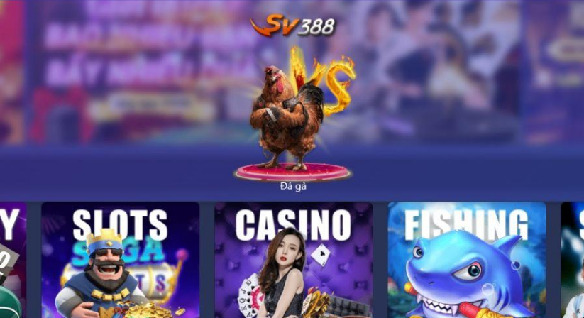 ST666 Có thể coi đá gà và chơi cá cược chọi gà online, không cần đến sới gà