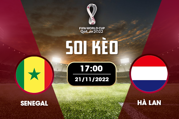 ST666 Phong độ trước trận soi kèo Senegal vs Tuyển Hà Lan