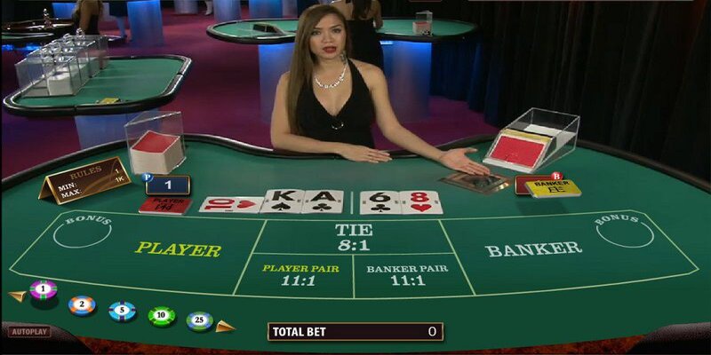 ST666 Lưu ý khi dùng tool baccarat