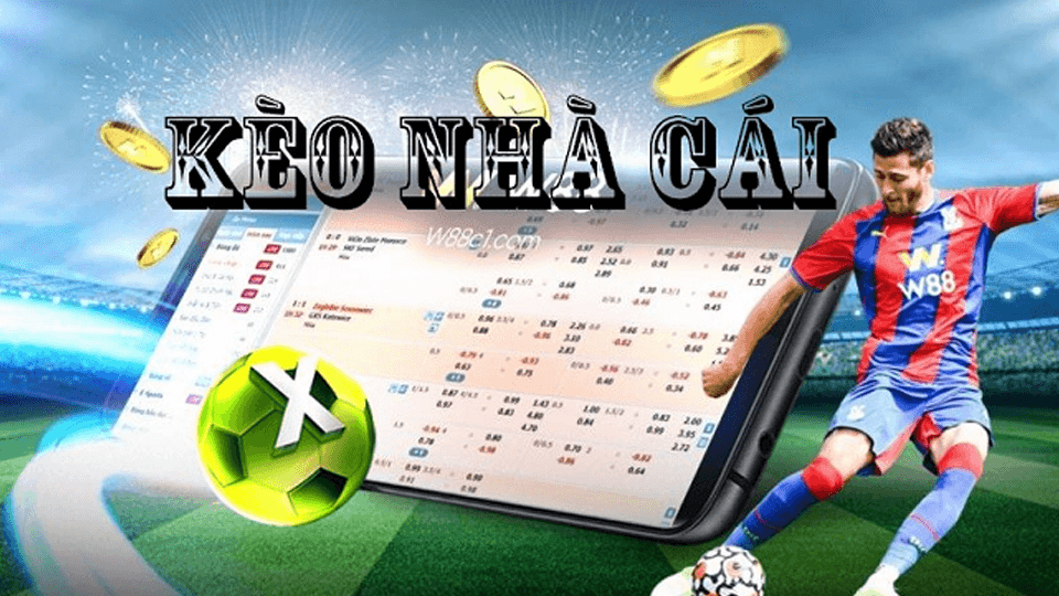 Cách đọc kèo chấp ½ chuẩn nhất